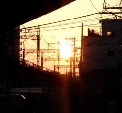 電車道の夕陽